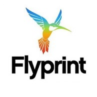 Flyprint Express