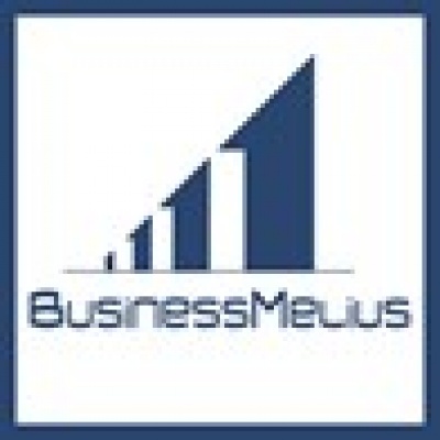 BusinessMelius ООО